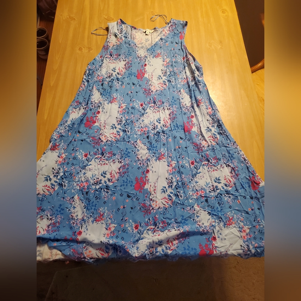 Pioneer Woman dress